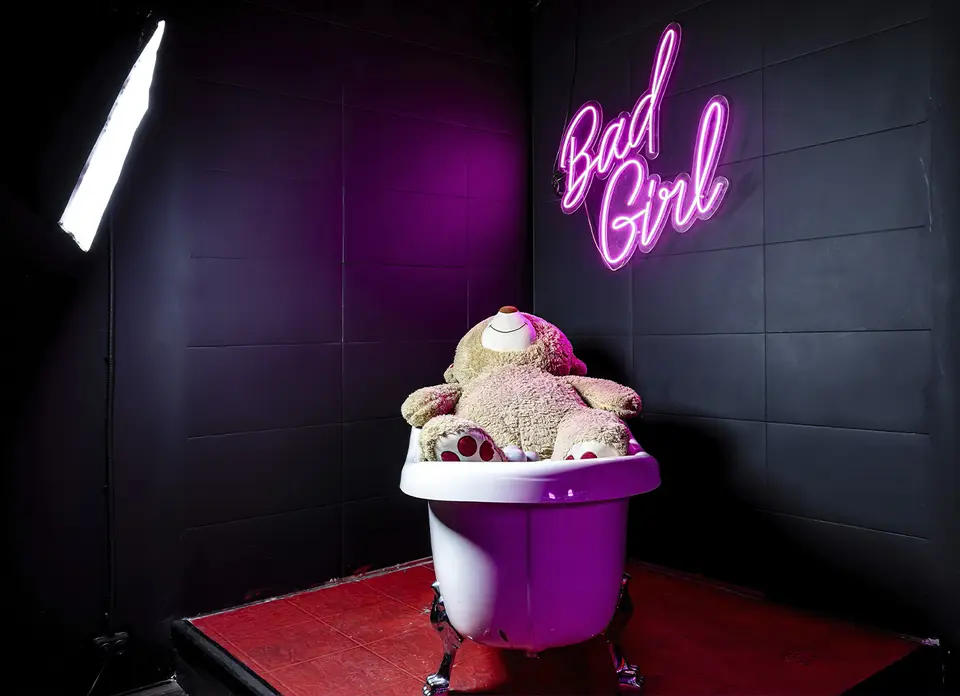 Фото площадки Лофт Bad Girl с караоке и пилоном на Бауманской: 7