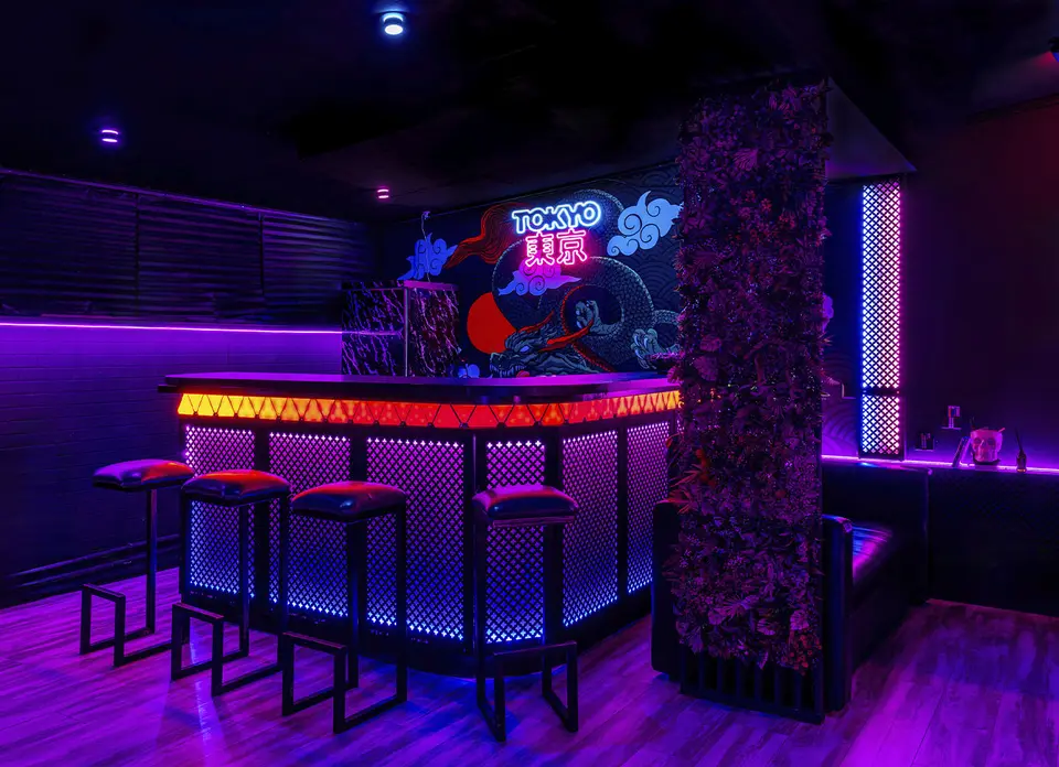 Фото площадки Японский киберпанк в лофте Tokyo Night Club с караоке и PS 5: 3