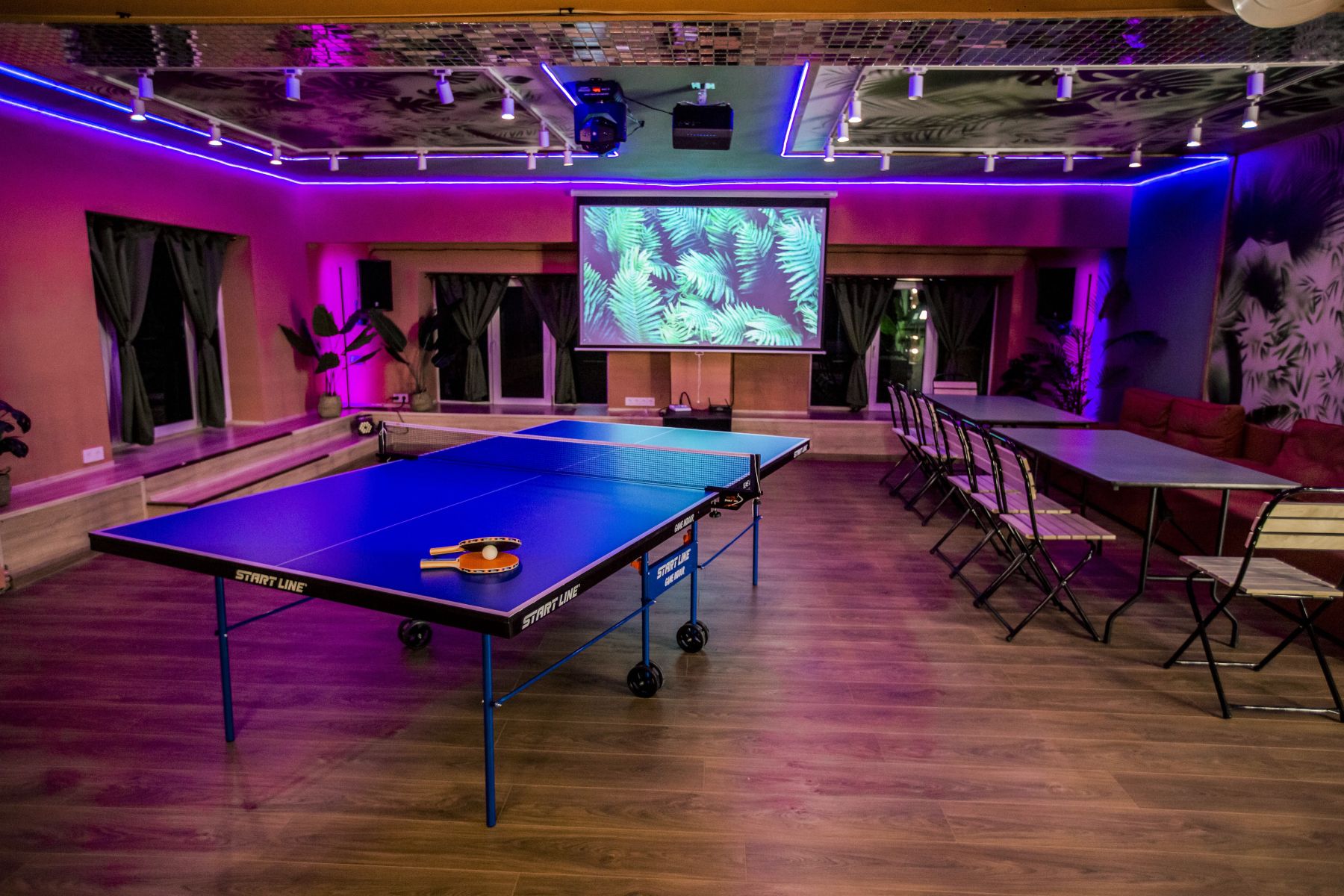 Настольные игры в лофте TROPICANA