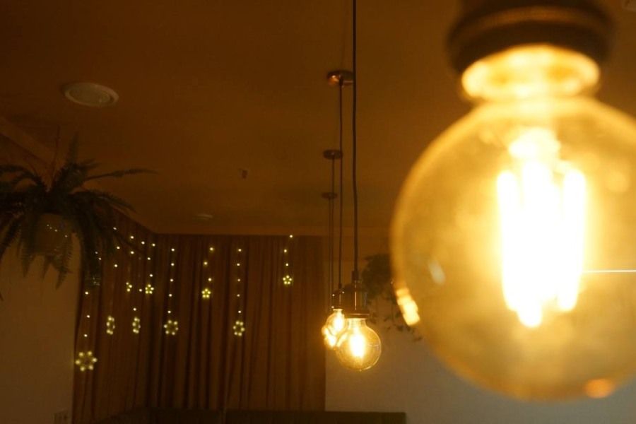 Уютный банкетный зал с растениями