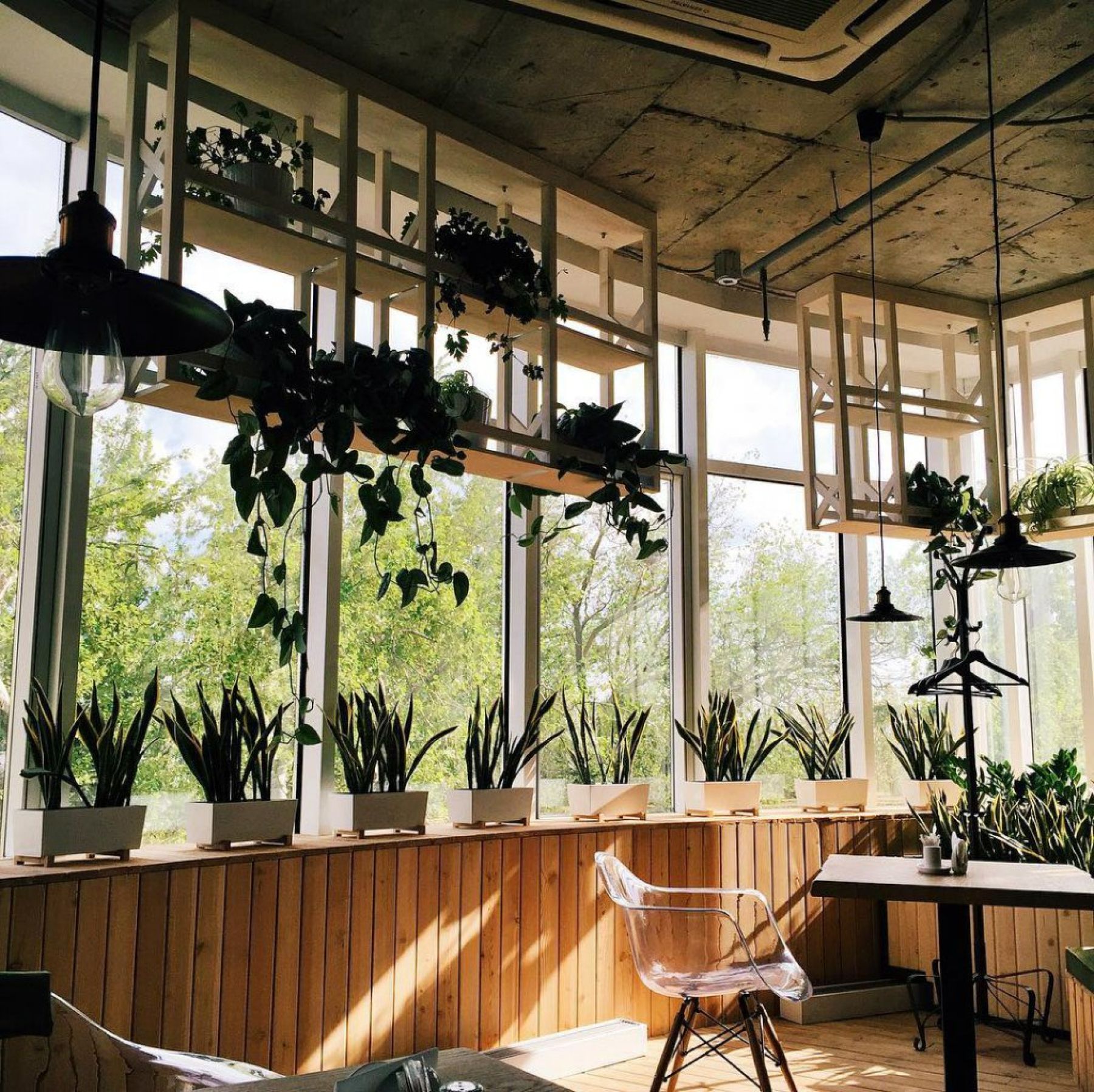 Интерьер Зеленого Кафе с зелеными растениями