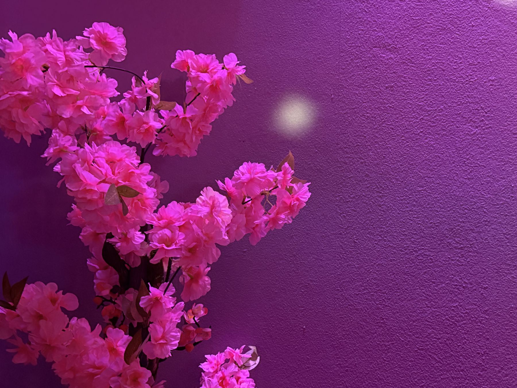 Интерьер лофта ТОКИО - японский стиль