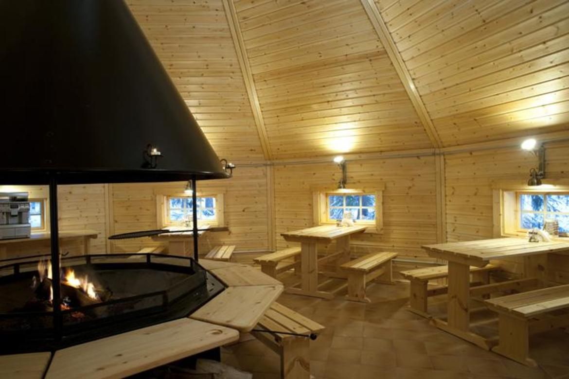 Природа вокруг беседки в Санкт-Петербурге