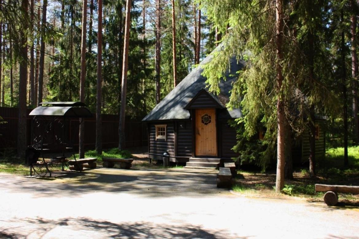 Активный отдых рядом с беседкой: волейбол и природа