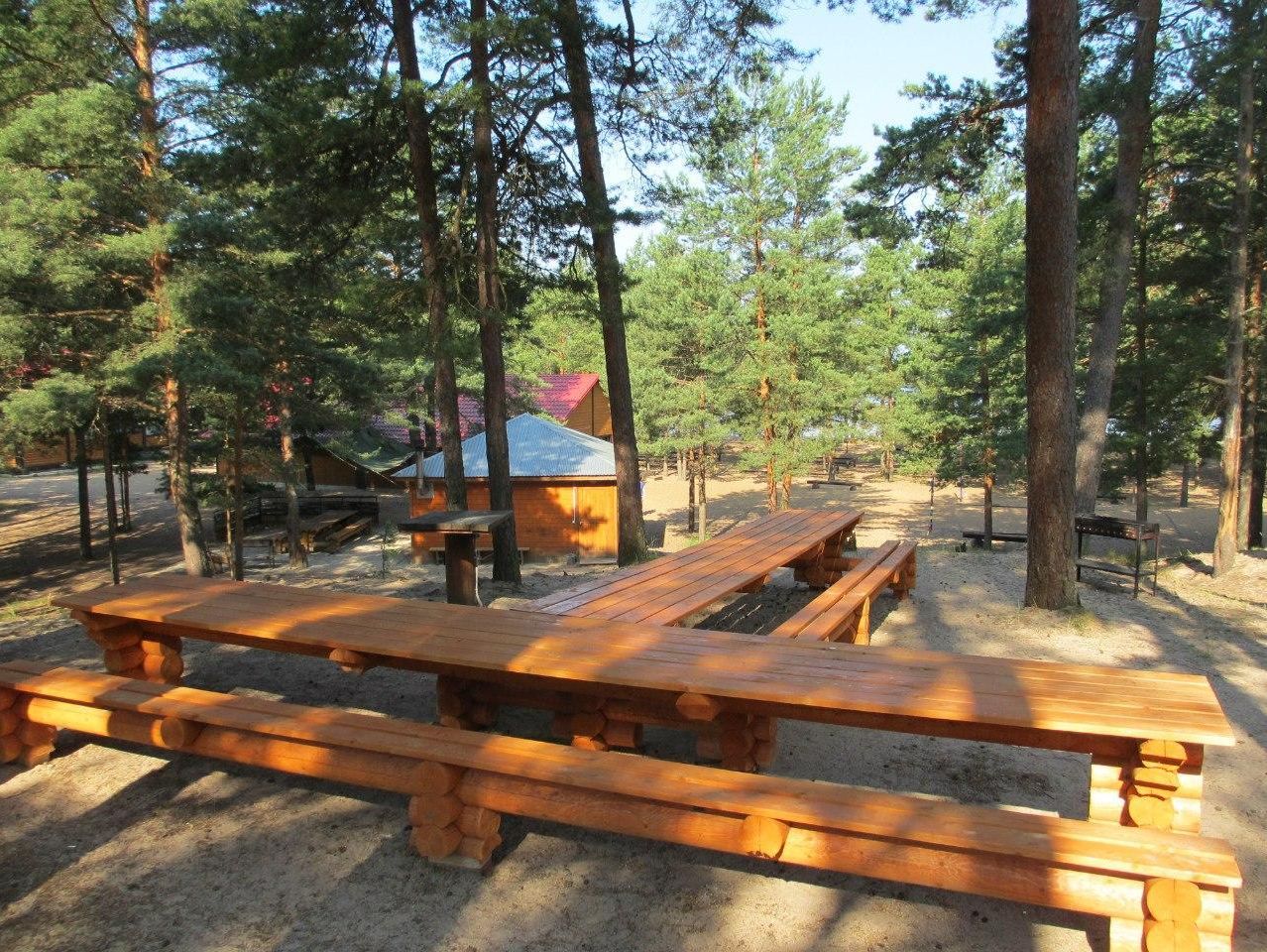 Природа вокруг беседки на Командоре