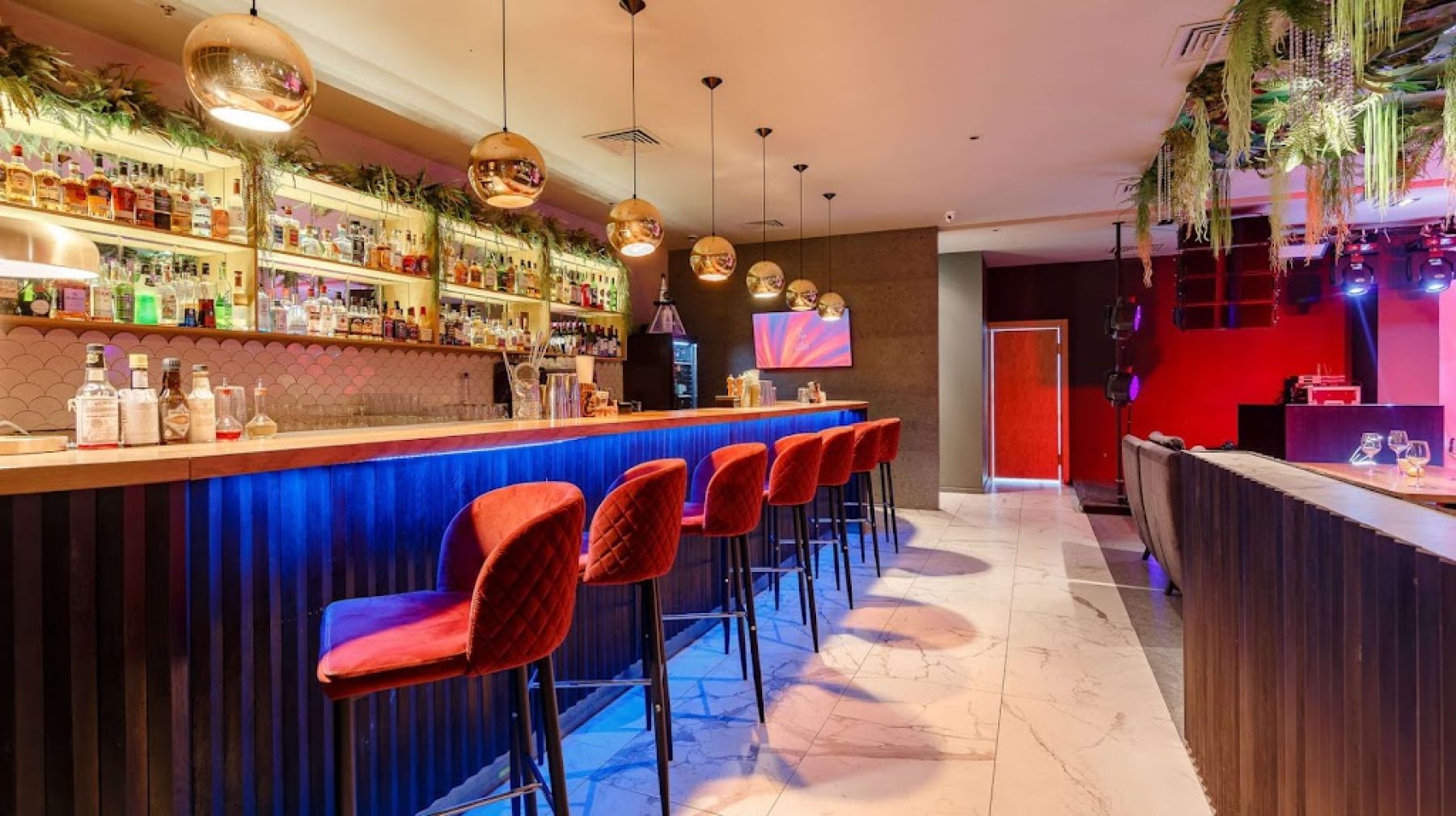 Ресторан Цапля - интерьер с караоке