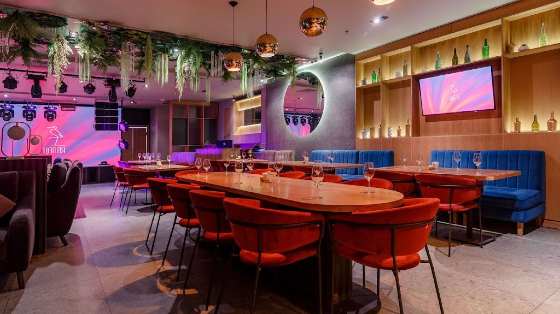 Профессиональное оборудование для караоке в ресторане Цапля