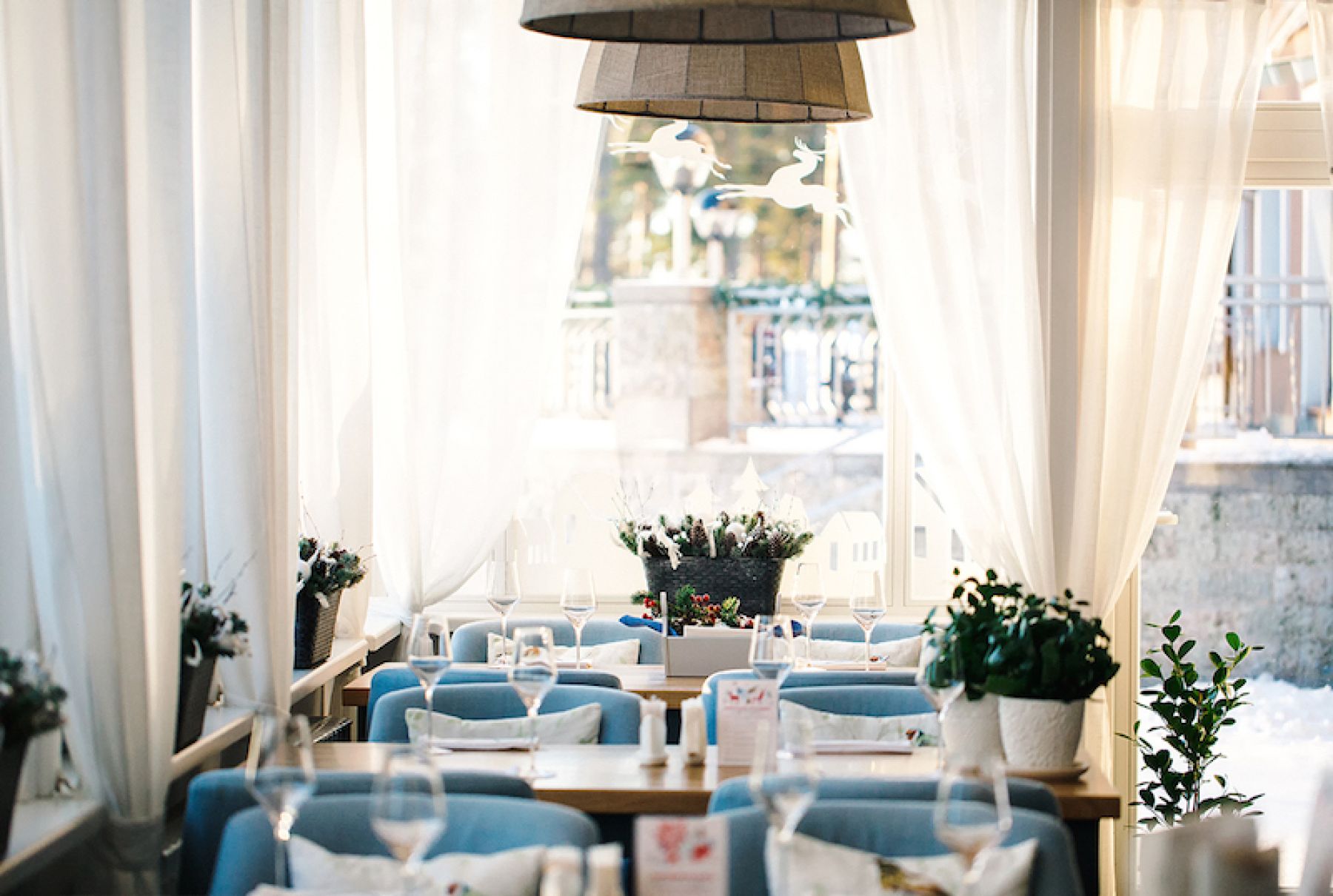 Интерьер ресторана Птички и Ягоды