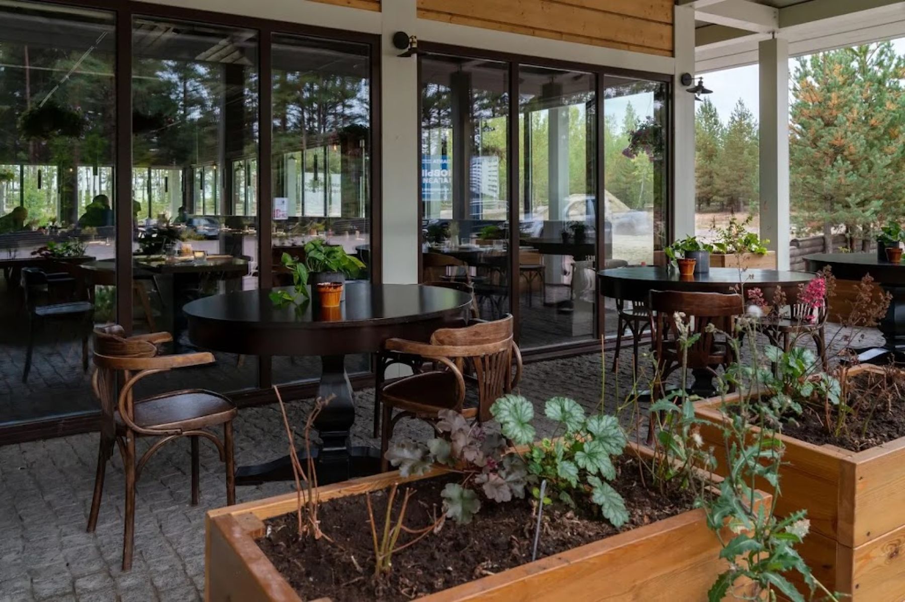 Уютная атмосфера ресторана «Лес»