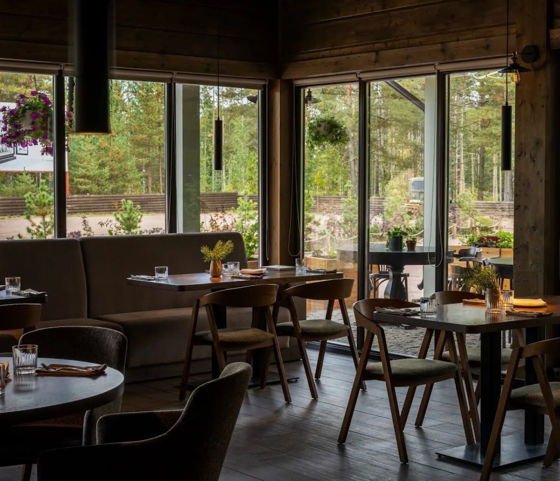 Вид на террасу ресторана «Лес»