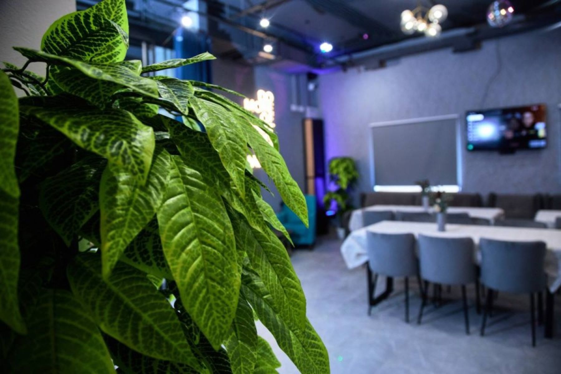 Танцпол в лофте на Заречной