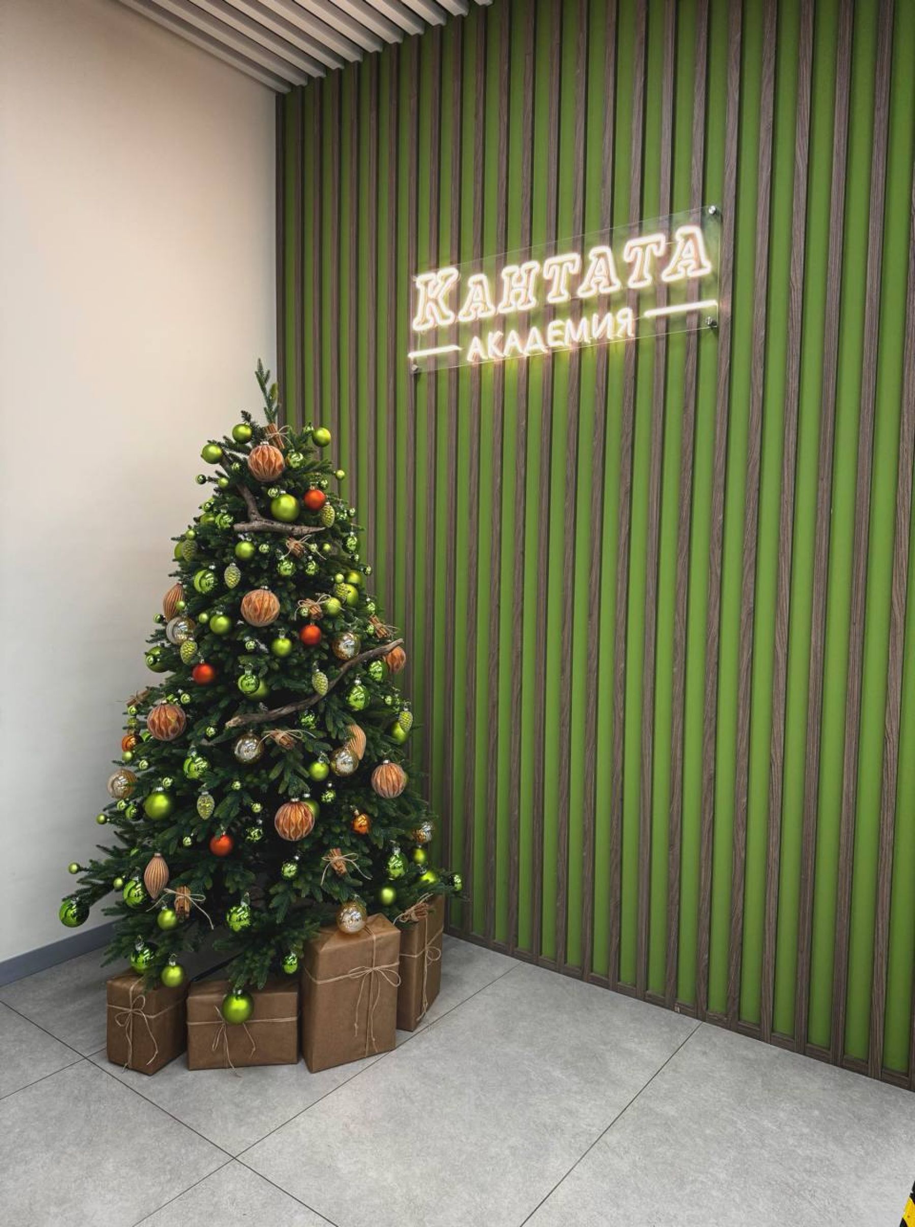 Оборудование для вебинаров в Академии Кантаты