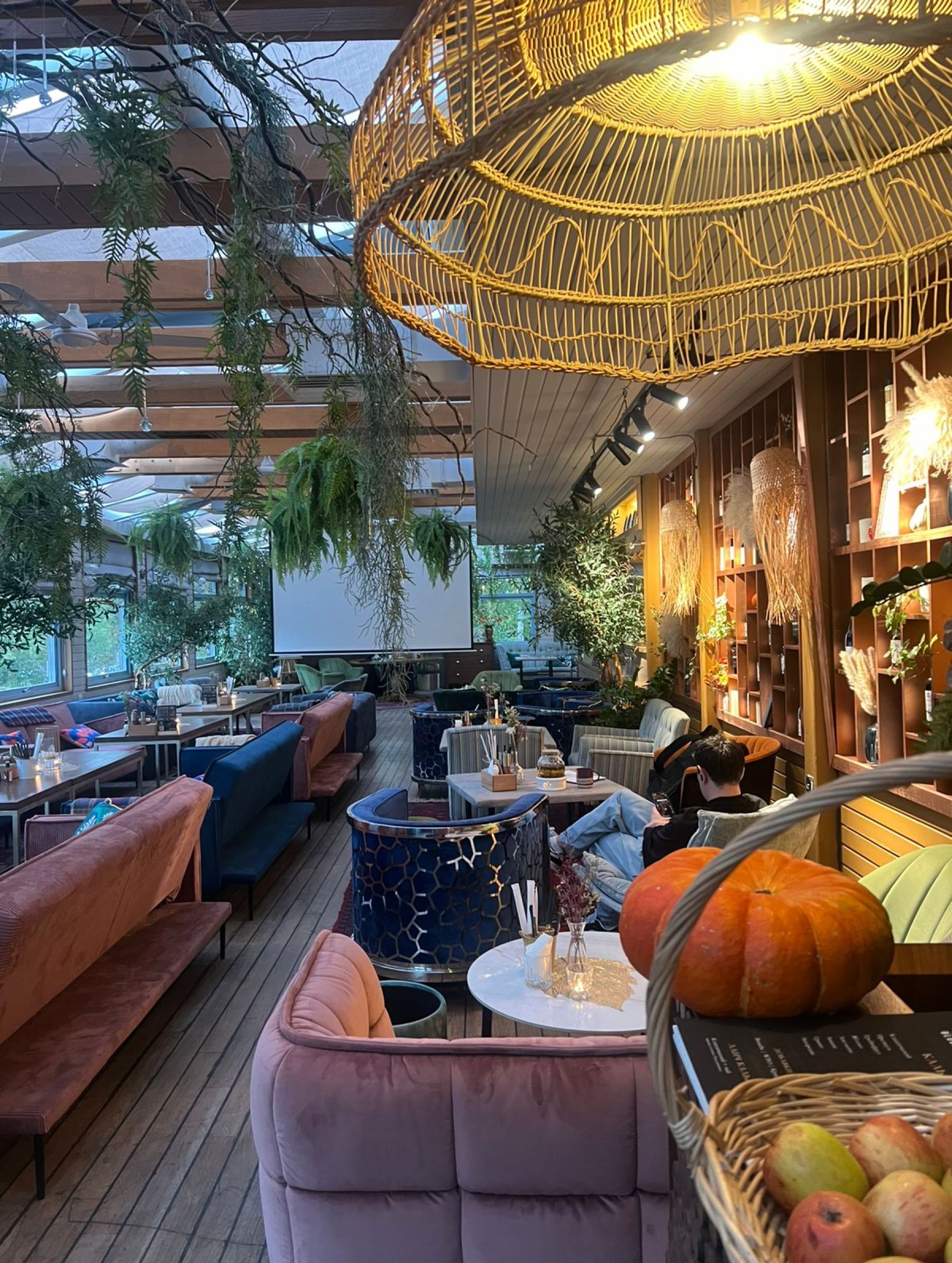 Кальян и коктейли в Blush Lounge