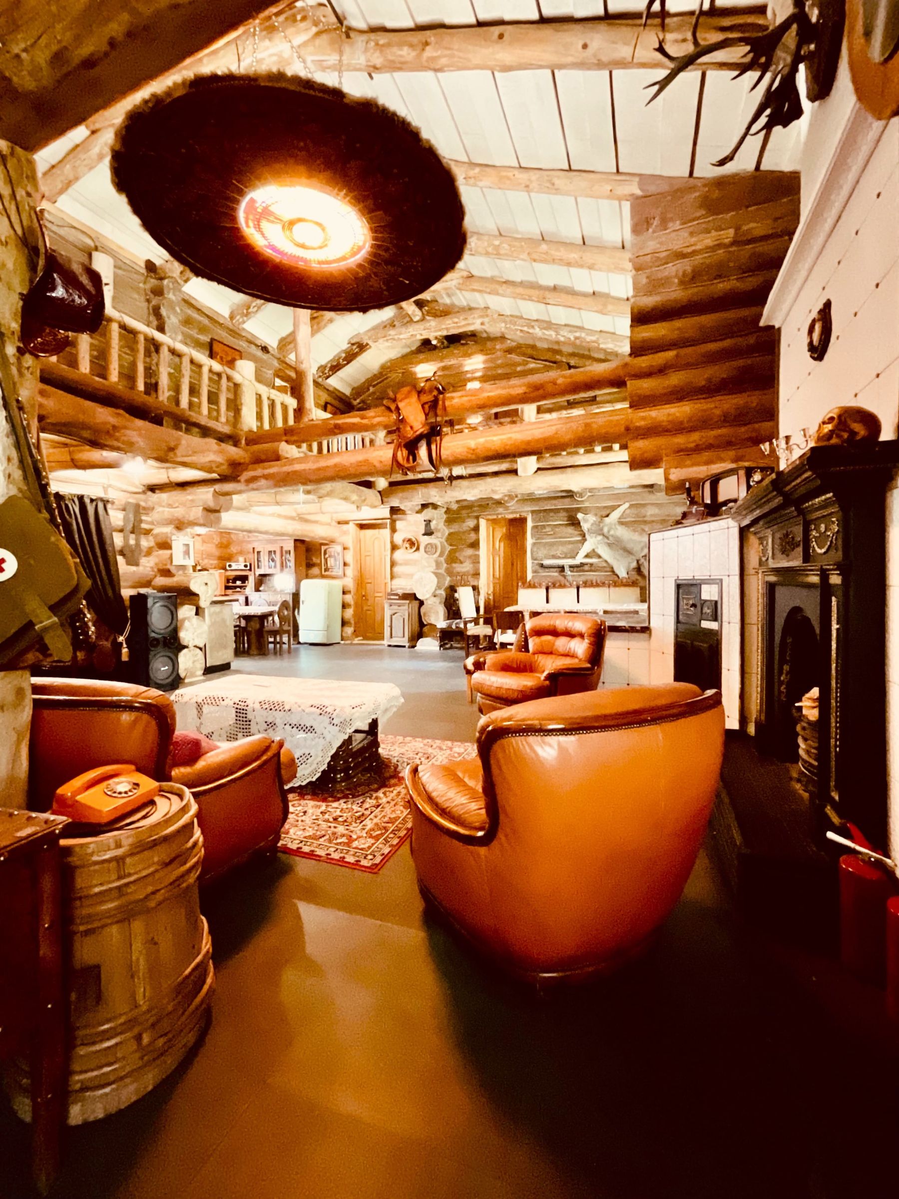 Каминный зал с дизайнерской мебелью в лофте Гора